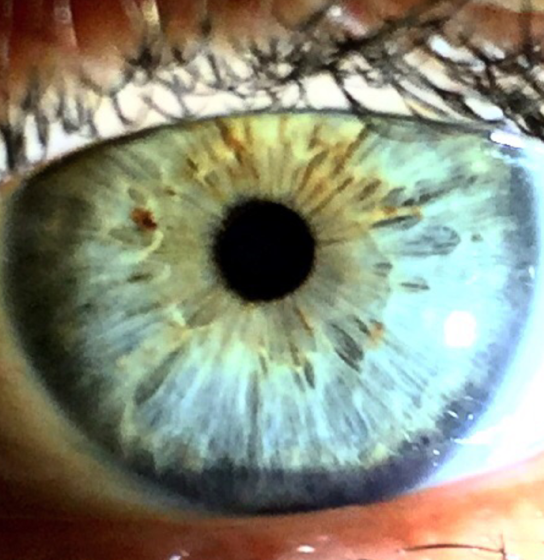 the women's blog site